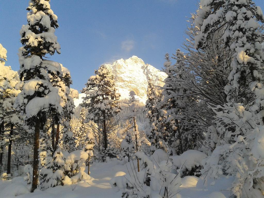 Apartamento Haus Breithornblick Maria Alm am Steinernen Meer Exterior foto