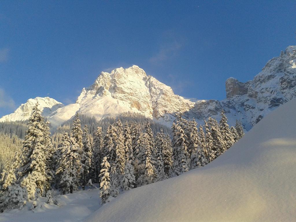 Apartamento Haus Breithornblick Maria Alm am Steinernen Meer Exterior foto